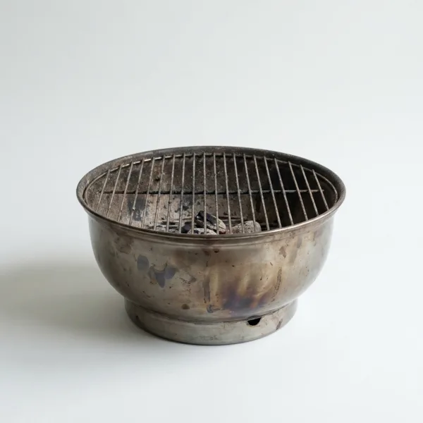 Houtskoolbarbecue (compact)